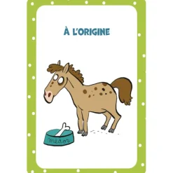 52 cartes pour tout savoir sur les chevaux - Edition 365