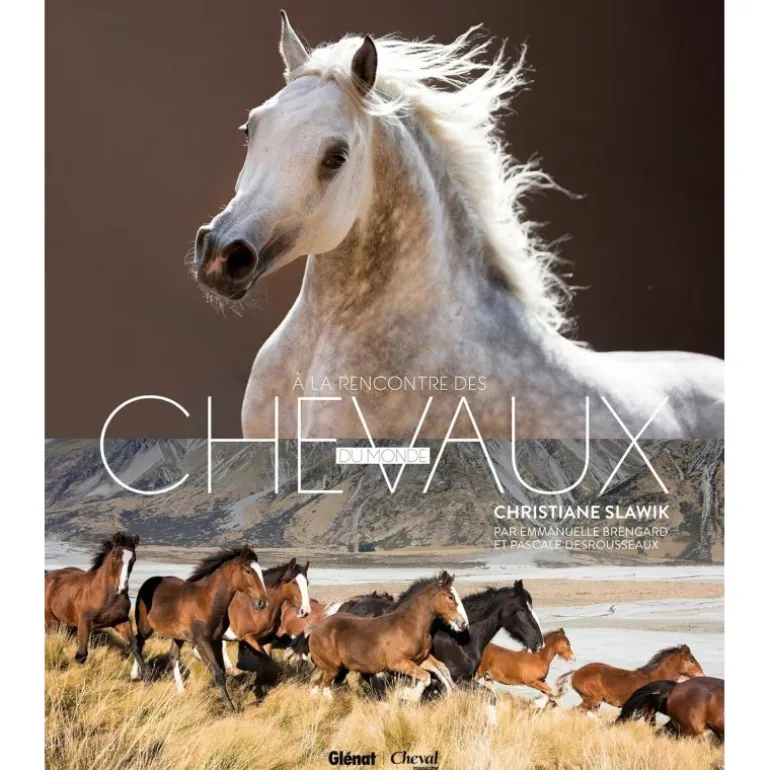 A la rencontre des chevaux du monde - Glénat