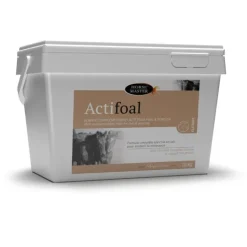 Actifoal poulain et yearling - Horse Master