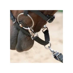 Alliance de mors - Waldhausen