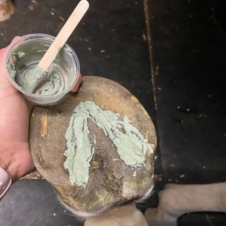 Argile sabot cheval auto-chauffanteThermal Hoof Clay - Keratex