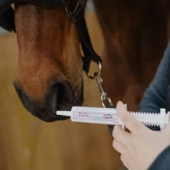 B Kalm anti−stress cheval seringue 30 ml - Horse Master