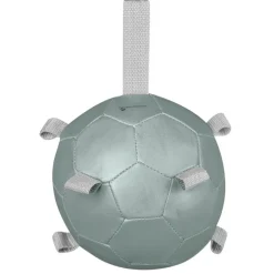 Balle à carottes enrichissement cheval - Waldhausen