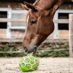 Balle de jeu à foin cheval - Waldhausen
