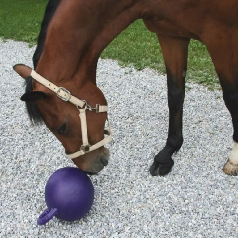 Balle jouet pour chevaux Horsen Around