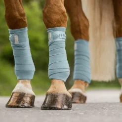 Bandes de polo cheval Florenz - Waldhausen