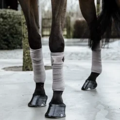 Bandes de polo cheval Velvet Basic x4 - Kentucky