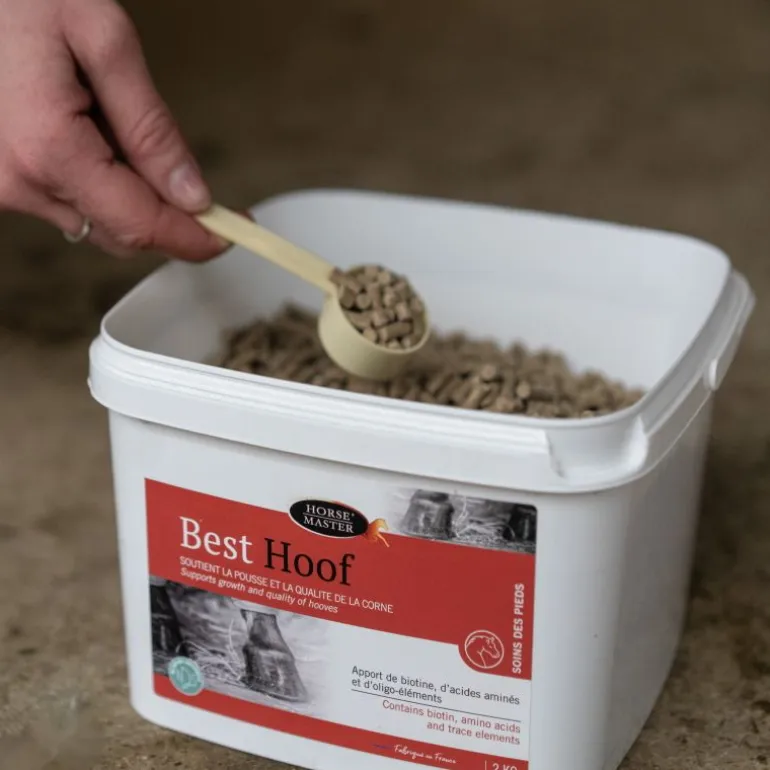 Biotine cheval Best Hoof - Horse Master