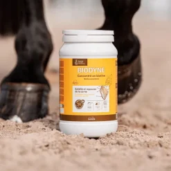 Biotine cheval Biodyne - Ravene
