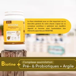 Biotine cheval Biodyne - Ravene