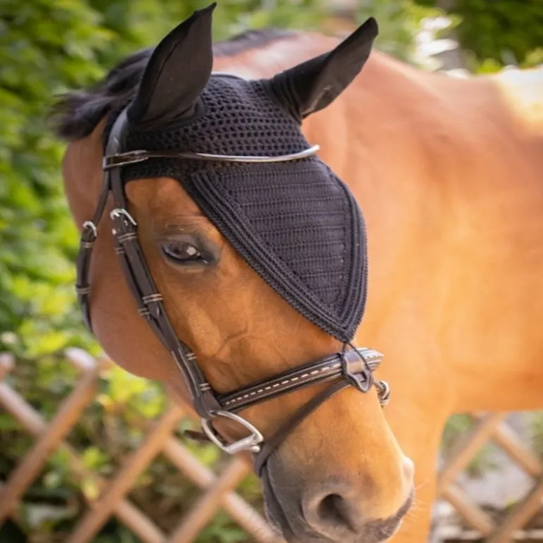 Bonnet anti-mouche cheval long Pro Coton - Paddock Sports