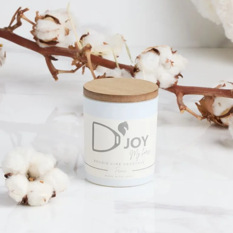 Bougie cheval équitation Classique My Horse - D'joy