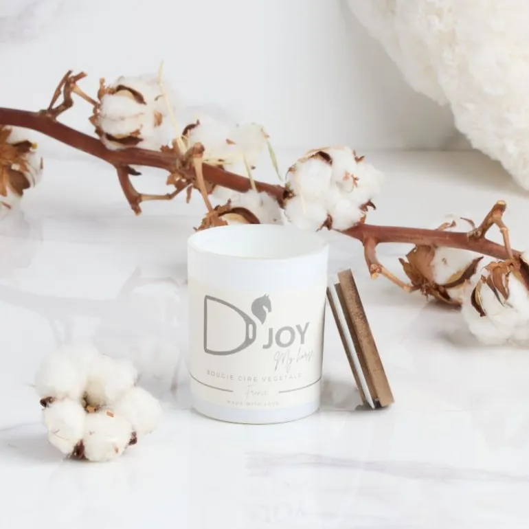 Bougie cheval équitation Classique My Horse - D'joy