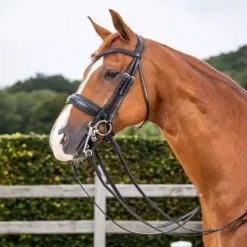 Bride cheval muserolle large mat New English Collection - Dy'on