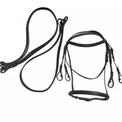 Bride de dressage cheval doublée