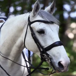 Bride de dressage muserolle pull back large Signature - Antarès