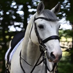 Bride de dressage muserolle pull back large Signature - Antarès