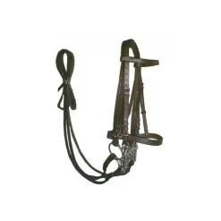 Bride quatre rênes cuir huilé