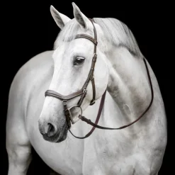 Bridon anatomique Micklem Rambo Competition Deluxe - Horseware