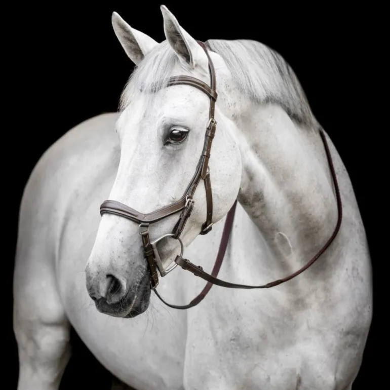 Bridon anatomique Micklem Rambo Competition Deluxe - Horseware
