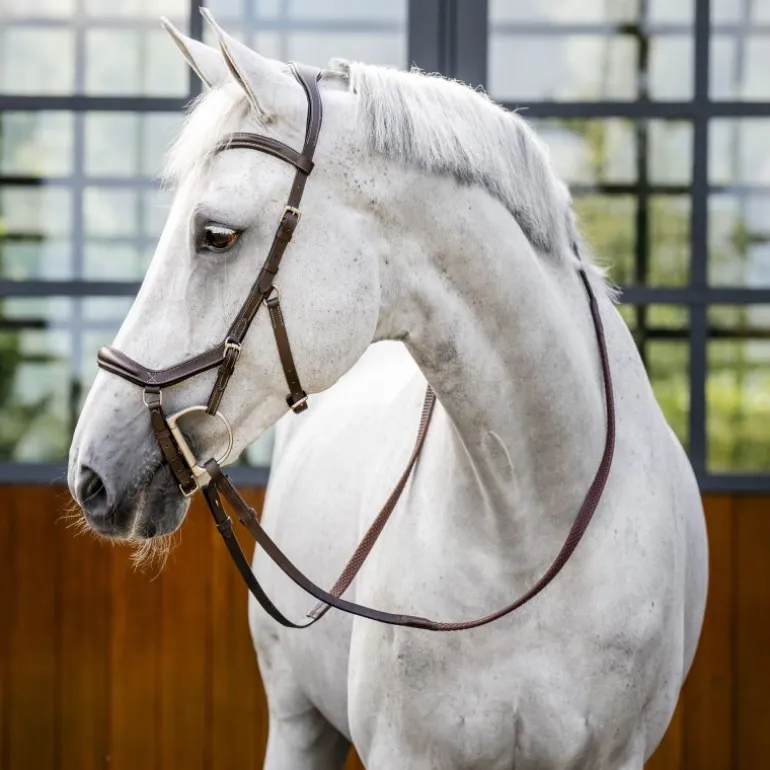 Bridon anatomique Micklem Rambo Competition Deluxe - Horseware