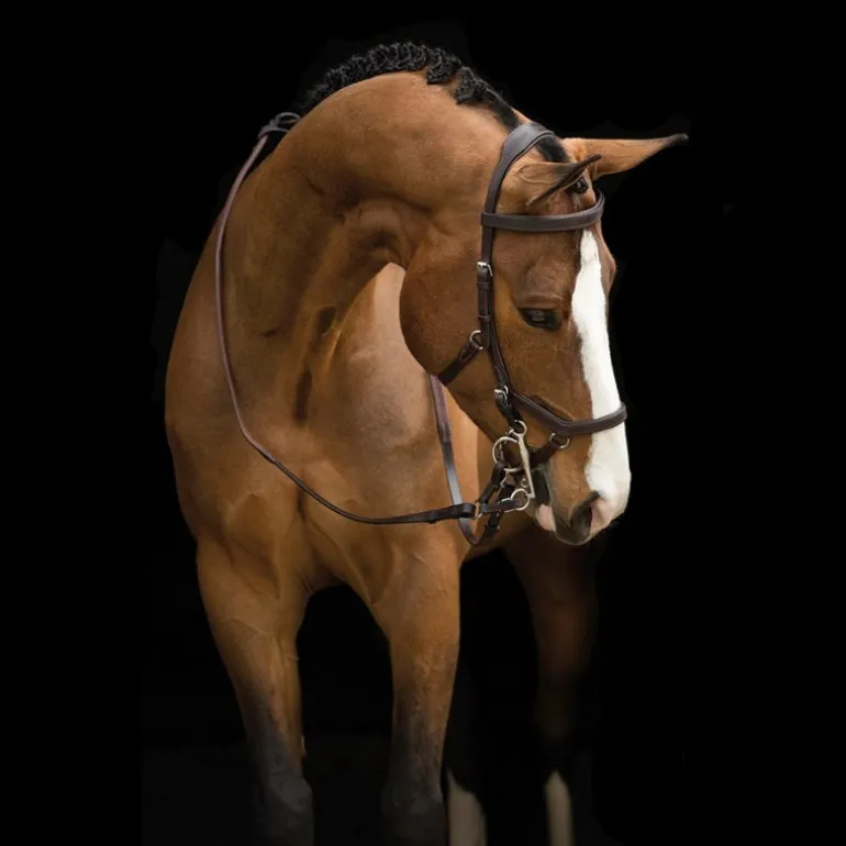 Bridon anatomique Micklem Rambo Competition Original - Horseware