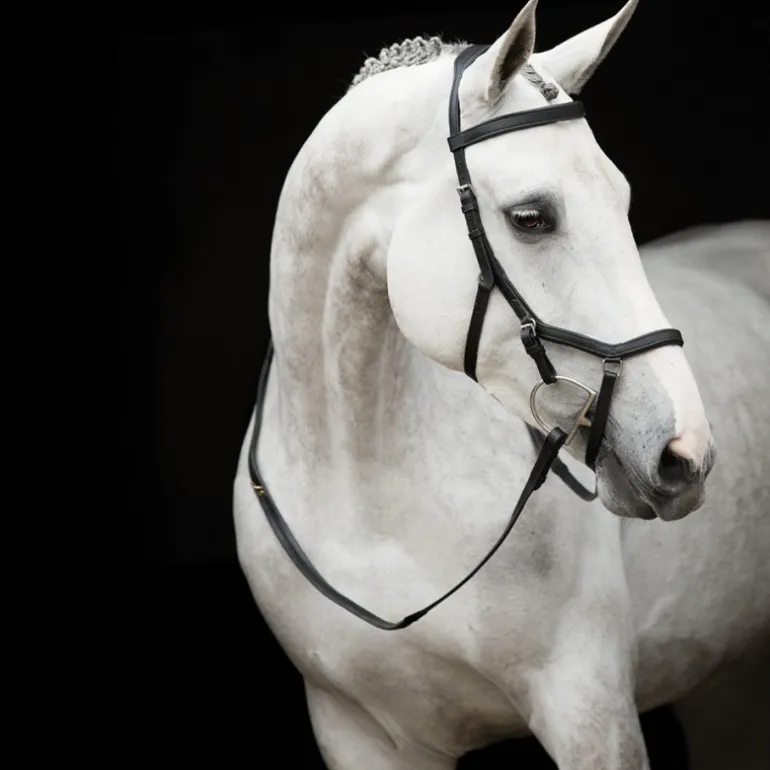 Bridon anatomique Micklem Rambo Competition Original - Horseware