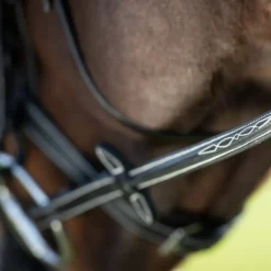 Bridon cheval cuir Comfort - HFI