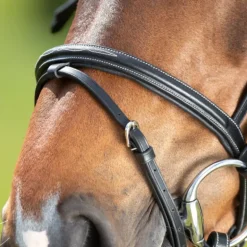 Bridon cheval cuir Comfort - HFI