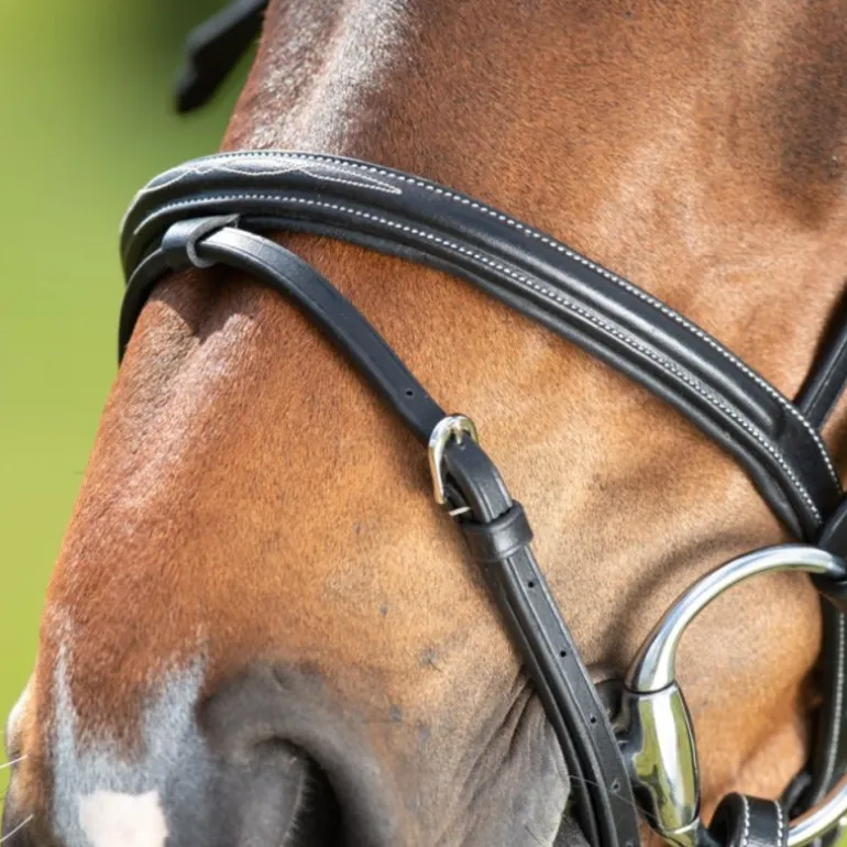 Bridon cheval cuir Comfort - HFI