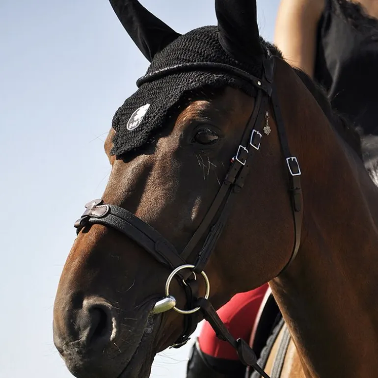 Bridon cheval cuir Evolution Soft T Contact - IHWT