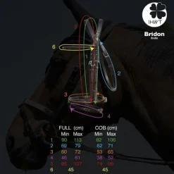 Bridon cheval cuir Evolution Soft T Contact - IHWT