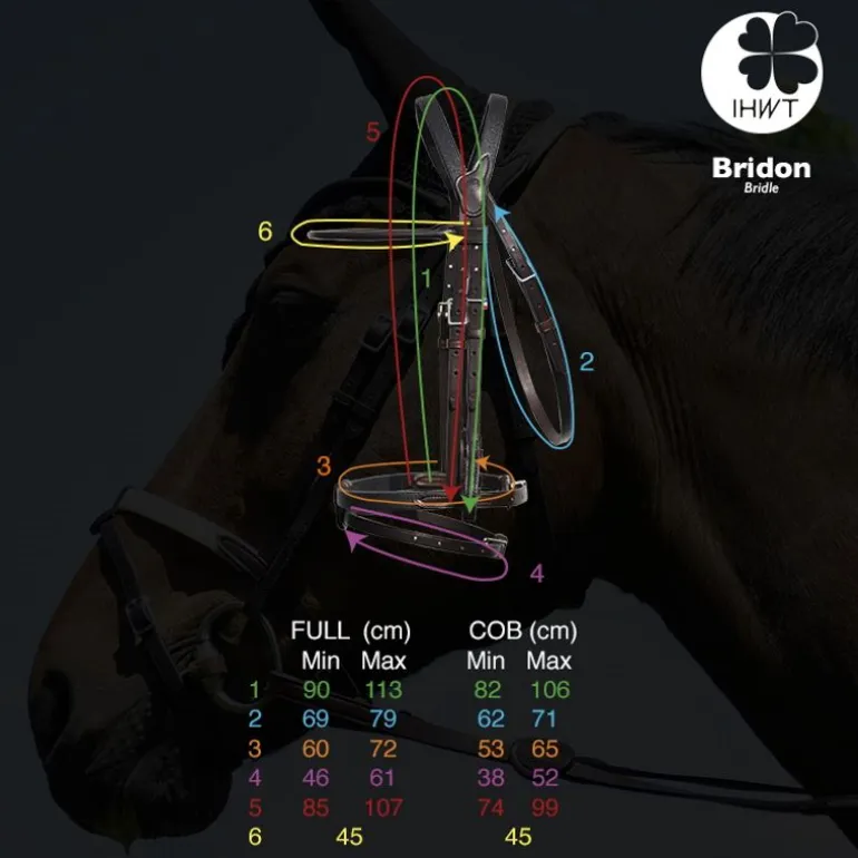 Bridon cheval cuir Evolution Soft T Contact - IHWT