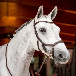 Bridon cheval cuir Micklem Competition 2 avec rênes - Horseware