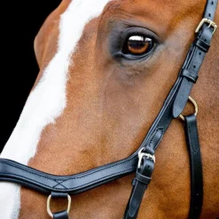 Bridon cheval cuir Micklem Competition 2 avec rênes - Horseware