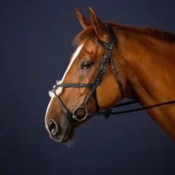 Bridon cheval cuir muserolle croisée New English Collection - Dy'on
