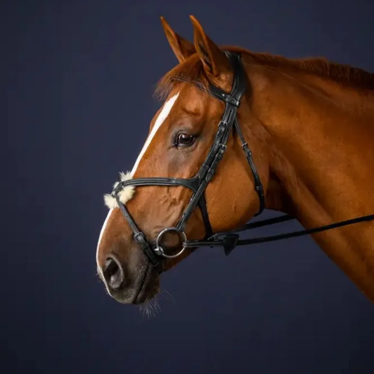 Bridon cheval cuir muserolle croisée New English Collection - Dy'on
