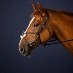 Bridon cheval cuir muserolle croisée New English Collection - Dy'on