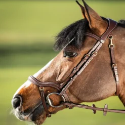 Bridon cheval cuir muserolle anatomique Techno - HFI