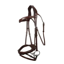 Bridon cheval cuir Signature Sport - Antarès
