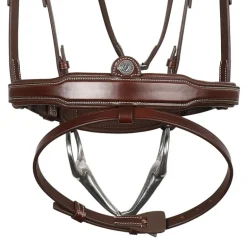 Bridon cheval cuir Signature Sport - Antarès