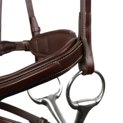 Bridon cheval cuir Signature Sport - Antarès