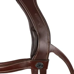 Bridon cheval cuir Signature Sport - Antarès