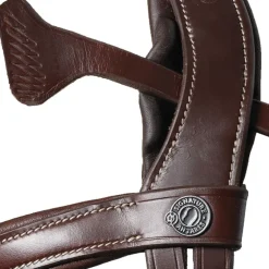 Bridon cheval cuir Signature Sport - Antarès