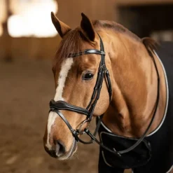 Bridon cheval cuir Wavy - HFI Master