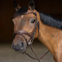 Bridon cheval cuir Wavy - HFI Master