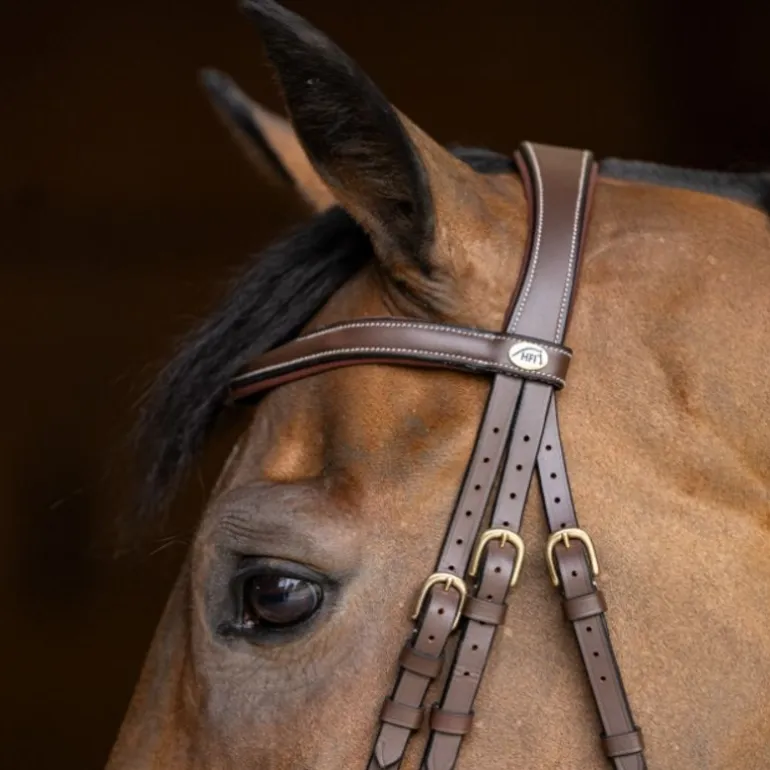 Bridon cheval cuir Wavy - HFI Master