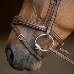 Bridon cheval cuir Wavy - HFI Master