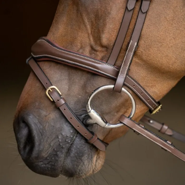 Bridon cheval cuir Wavy - HFI Master