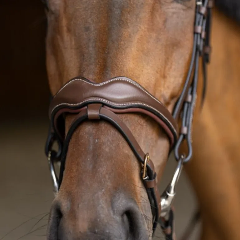 Bridon cheval cuir Wavy - HFI Master